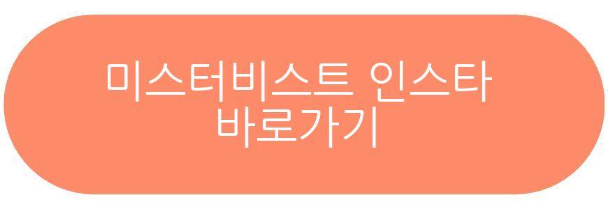 미스터비스트