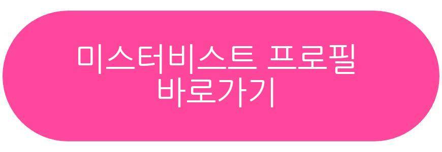 미스터비스트