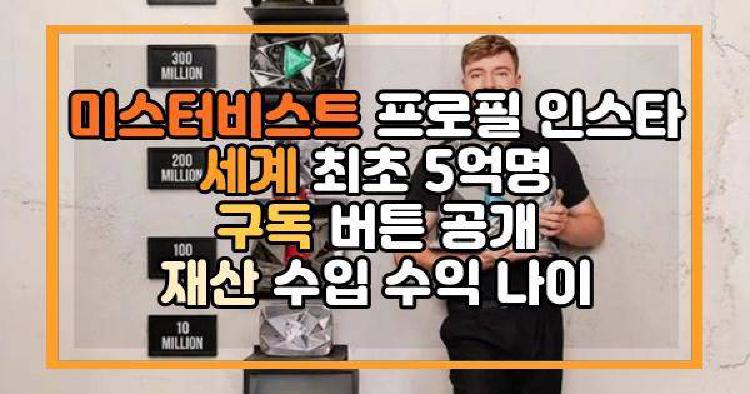 미스터비스트