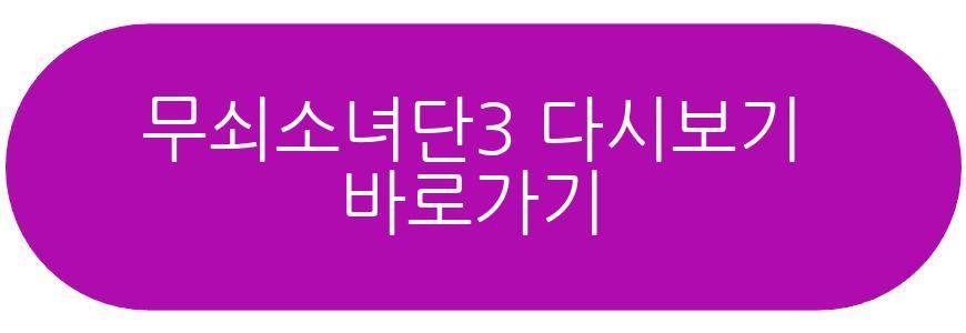 무쇠소녀단3