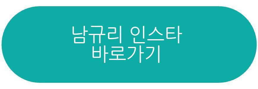 남규리