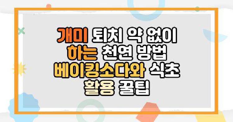 개미 퇴치 약 없이