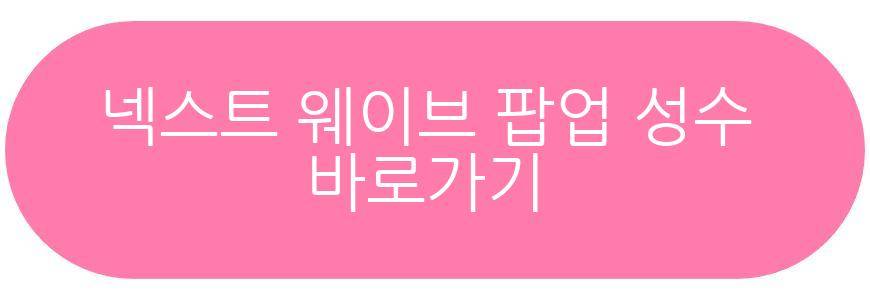 넥스트 웨이브 팝업 성수
