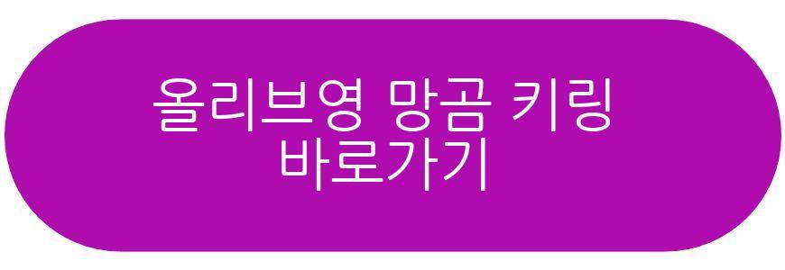 올리브영 망곰 키링