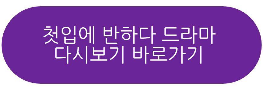 첫입에 반하다 드라마