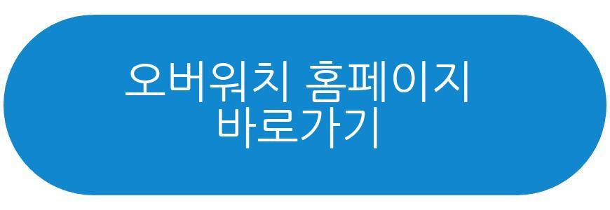 오버워치 넥슨