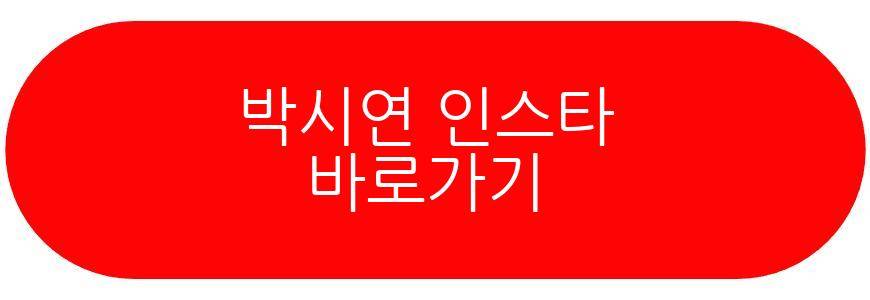 박시연 근황