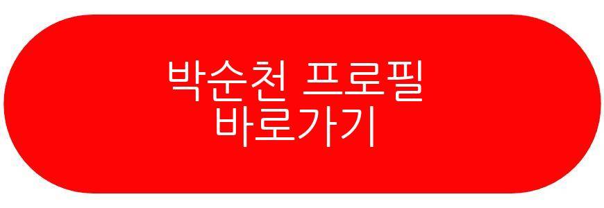 박순천