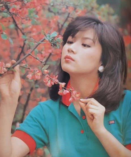 박순천