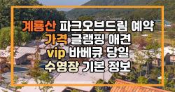 계룡산 파크오브드림 예약 가격 글램핑 애견 vip 바베큐 당일 수영장 기본 정보