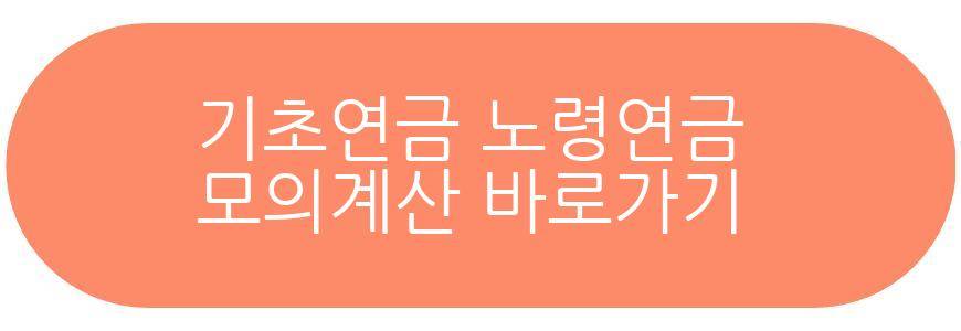 기초연금 노령연금