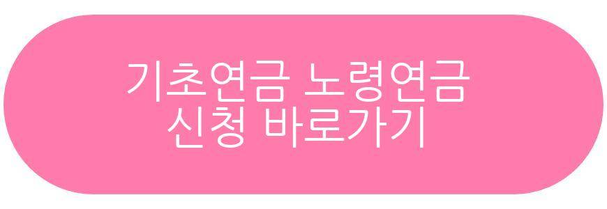 기초연금 노령연금