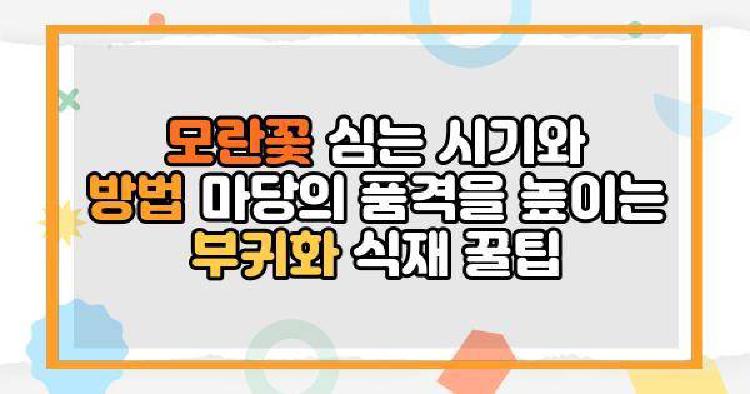 모란꽃 심는 시기와 방법 마당의 품격을 높이는 부귀화 식재 꿀팁