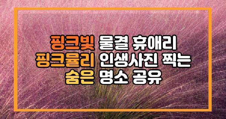 휴애리 핑크빛