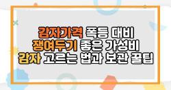 감자가격 폭등 대비 쟁여두기 좋은 가성비 감자 고르는 법과 보관 꿀팁