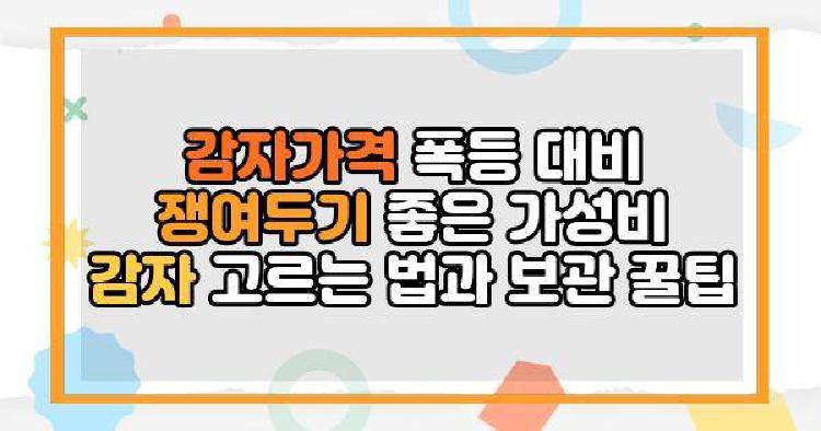 감자가격 폭등 대비 쟁여두기 좋은 가성비 감자 고르는 법과 보관 꿀팁