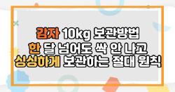 감자 10kg 보관방법 한 달 넘어도 싹 안 나고 싱싱하게 보관하는 절대 원칙