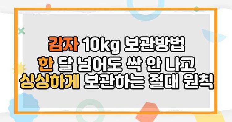 감자 10kg 보관방법 한 달 넘어도 싹 안 나고 싱싱하게 보관하는 절대 원칙