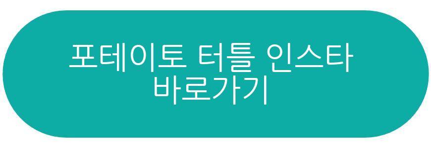 포테이토 터틀