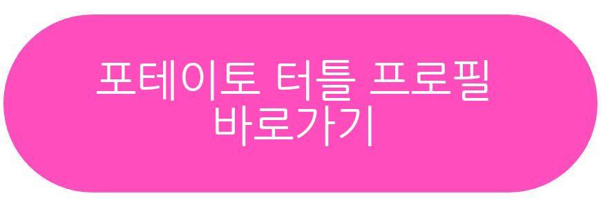 포테이토 터틀