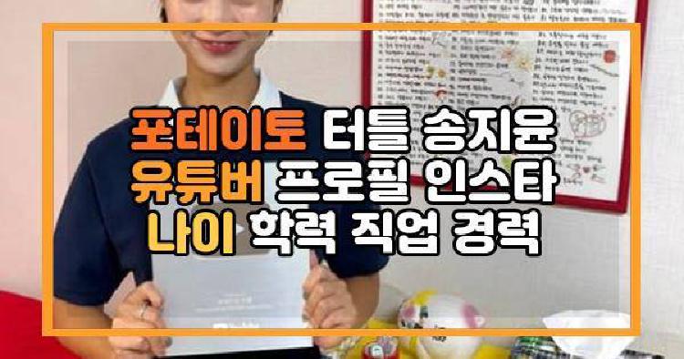 포테이토 터틀