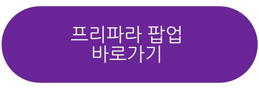 프리파라 팝업