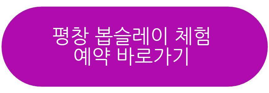 평창 봅슬레이 체험