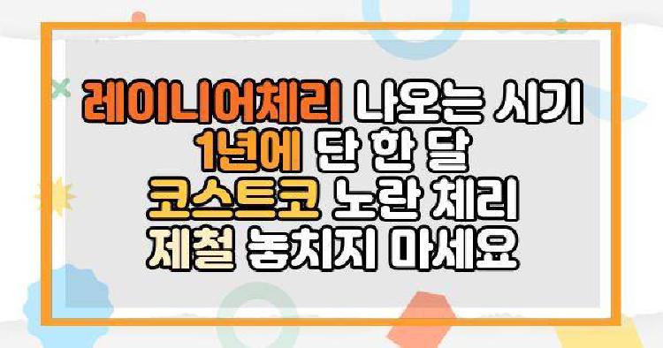 레이니어체리 나오는 시기