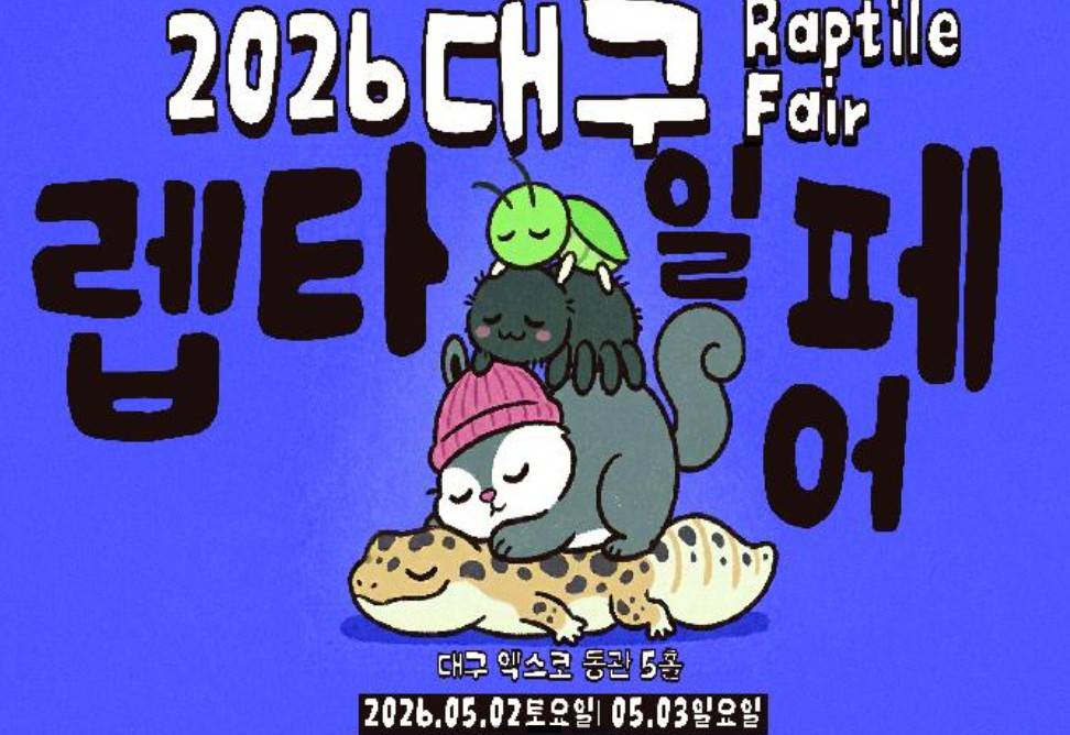 렙타일페어 67 in 대구