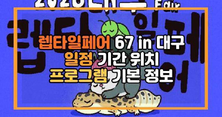 렙타일페어 67 in 대구