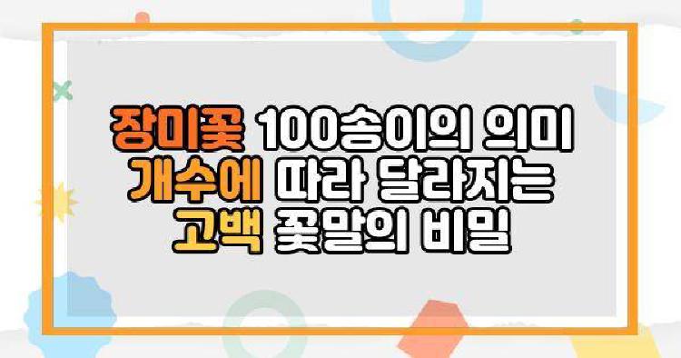 장미꽃 100송이의 의미 개수에 따라 달라지는 고백 꽃말의 비밀