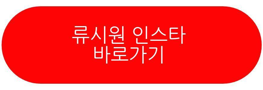 류시원 인스타