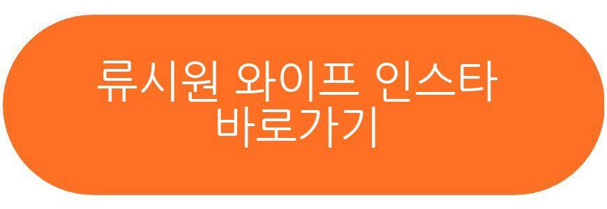 류시원 인스타