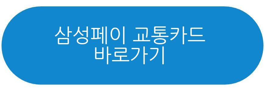 삼성페이 교통카드