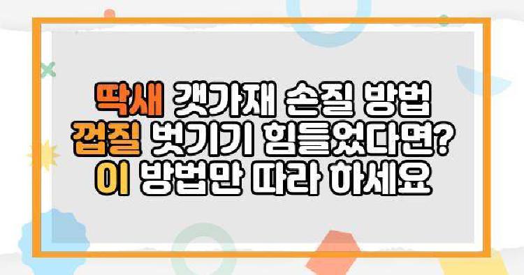 갯가재 딱새