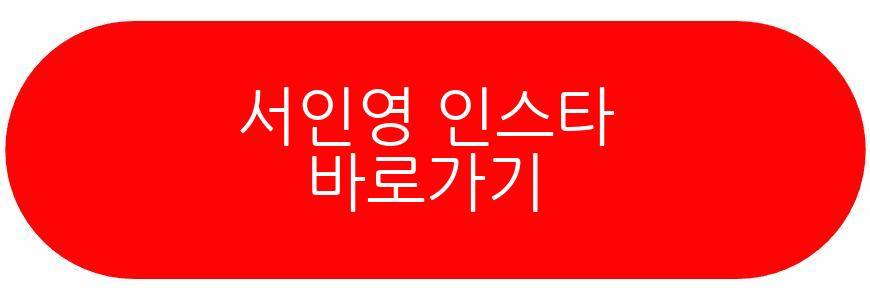 서인영 재혼