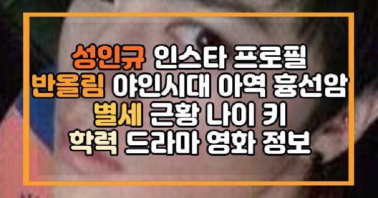 성인규