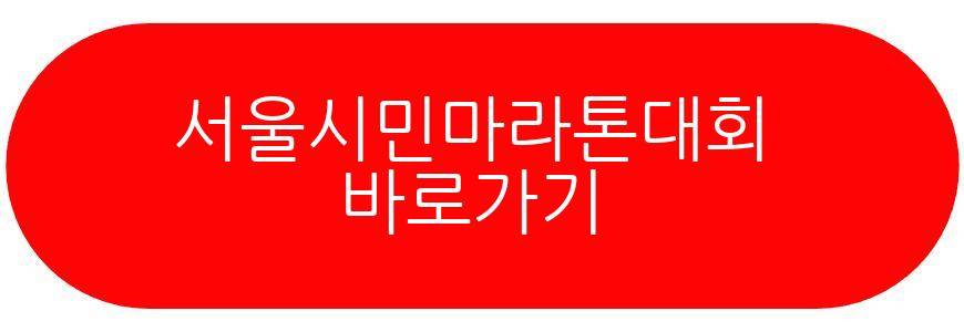 서울시민마라톤대회