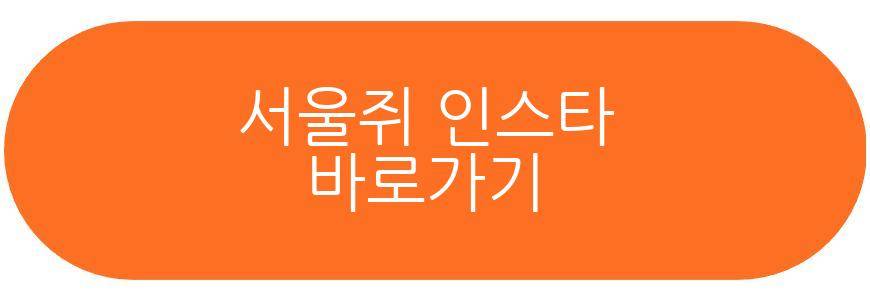 서울쥐