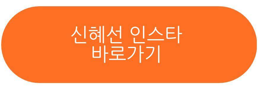 신혜선 대시