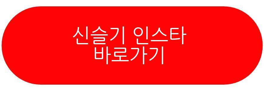 신슬기 셀럽병사의 비밀