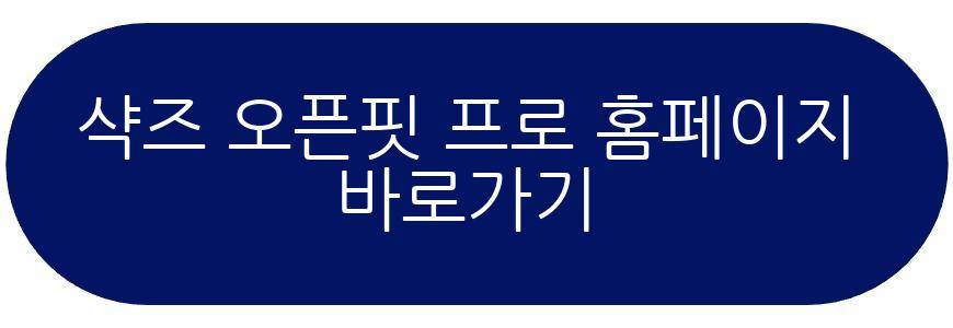 샥즈 오픈핏 프로