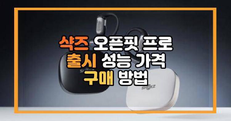 샥즈 오픈핏 프로