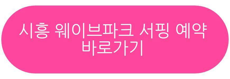 시흥 웨이브파크 서핑
