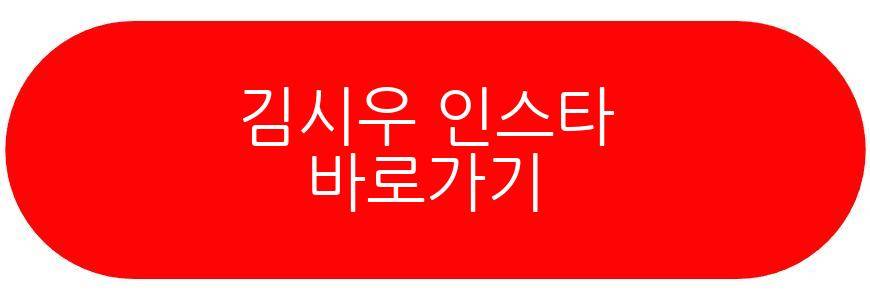 김시우 준우승