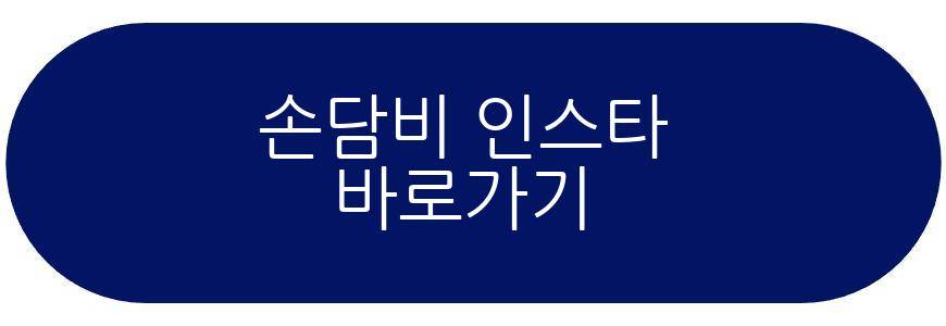 손담비 딸 근황