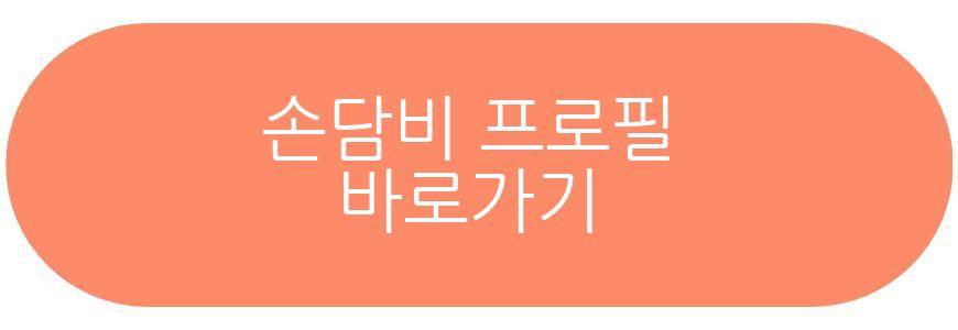 손담비 딸 근황