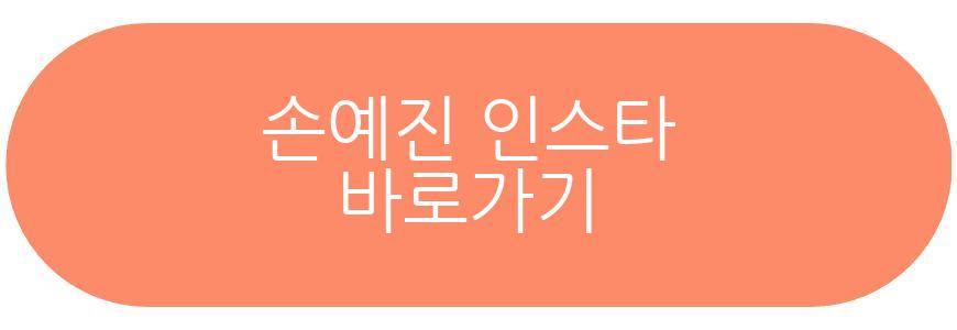 손예진 현빈 아들