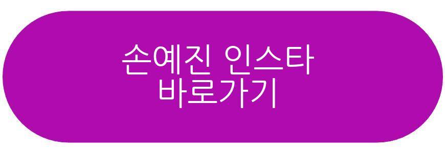 손예진 현빈
