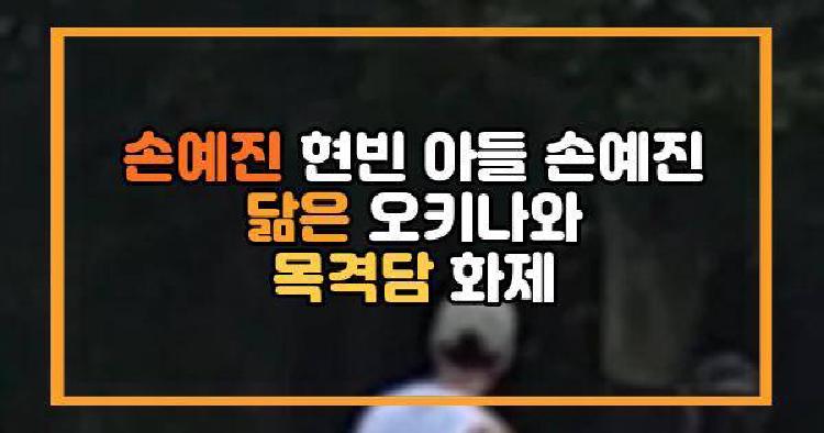 손예진 현빈